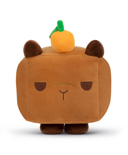 Capybara Plush!