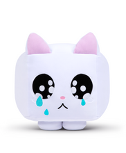 Load image into Gallery viewer, Sad Cat Plush!